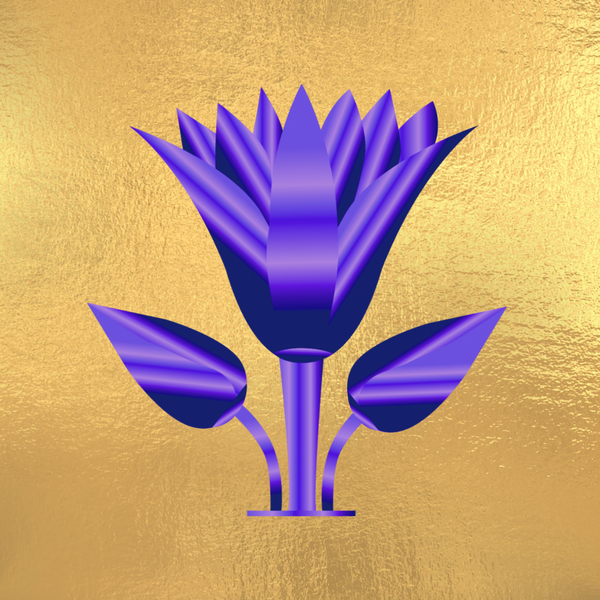 Etheria Holistics