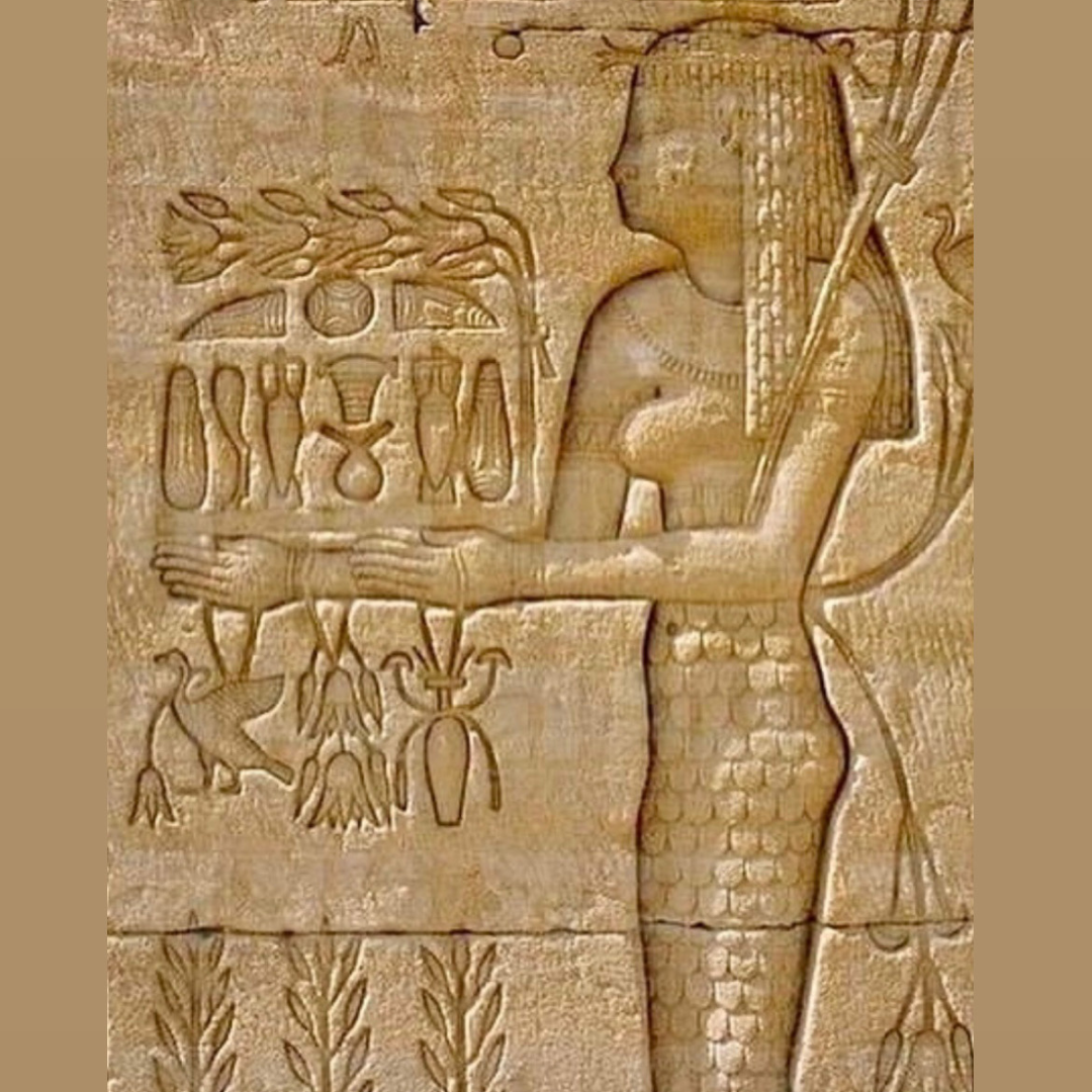 True Egyptian Blue Lotus Elixir. Organic Tincture Extract (Nymphaea caerulea)