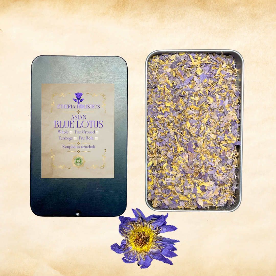 Blue Lotus — Asian (Nymphaea nouchali) | Organic Pre-Ground | Loose Blend & Teabags