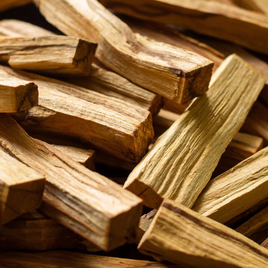 5 Palo Santo Sticks | Sustainable Aromatic Wood Incense | Bursera Graveolens