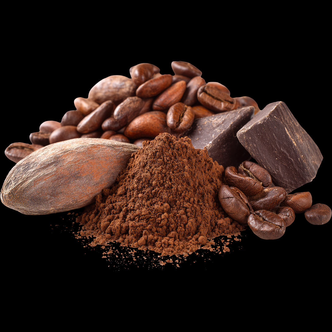 Ceremonial Cacao — Peruvian Criollo | 100% Pure Cacao Paste