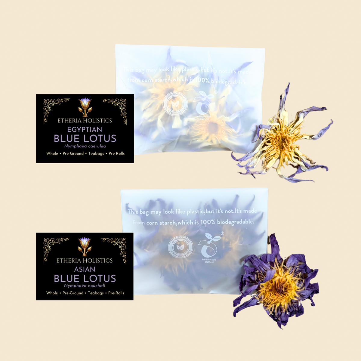 Blue Lotus Discovery Duo — Asian & True Egyptian | Sample Bundle