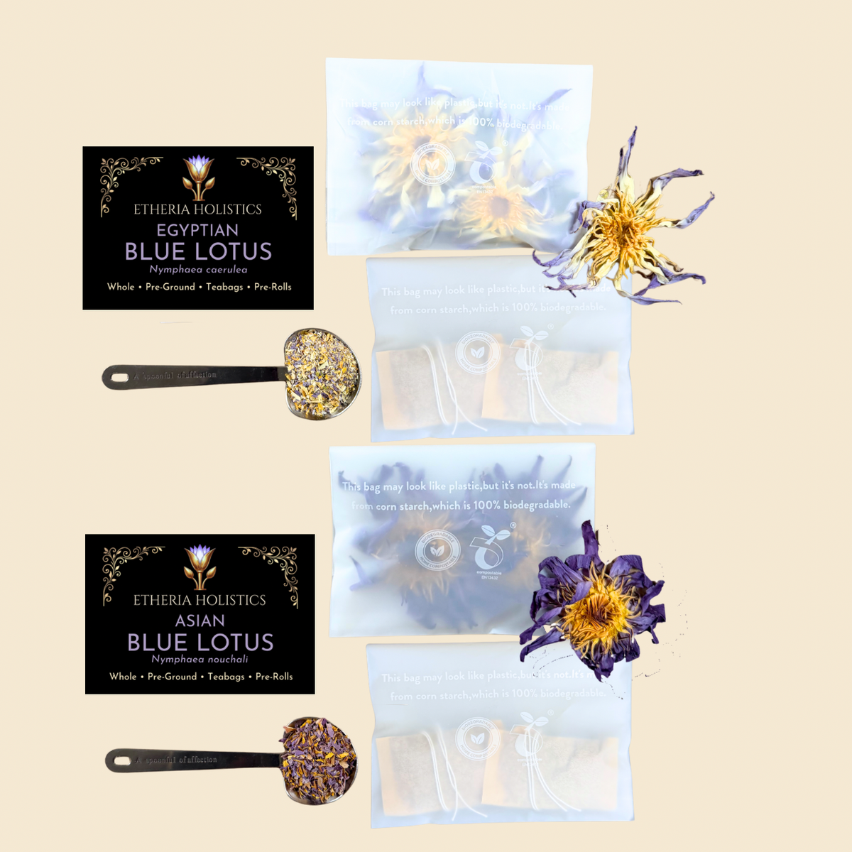 Blue Lotus Discovery Duo — Asian & True Egyptian | Sample Bundle