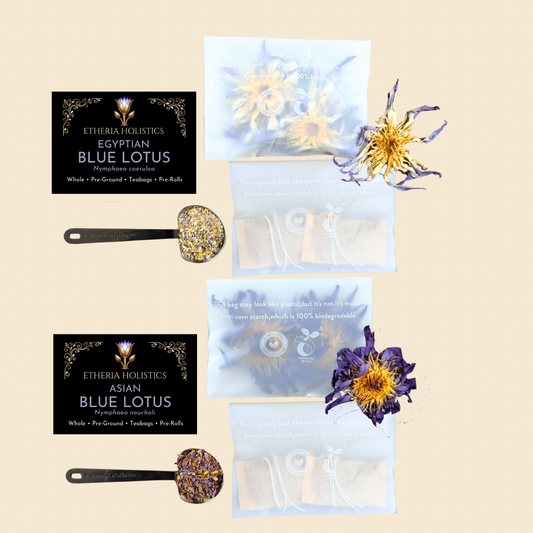Blue Lotus Discovery Duo — Asian & True Egyptian | Sample Bundle