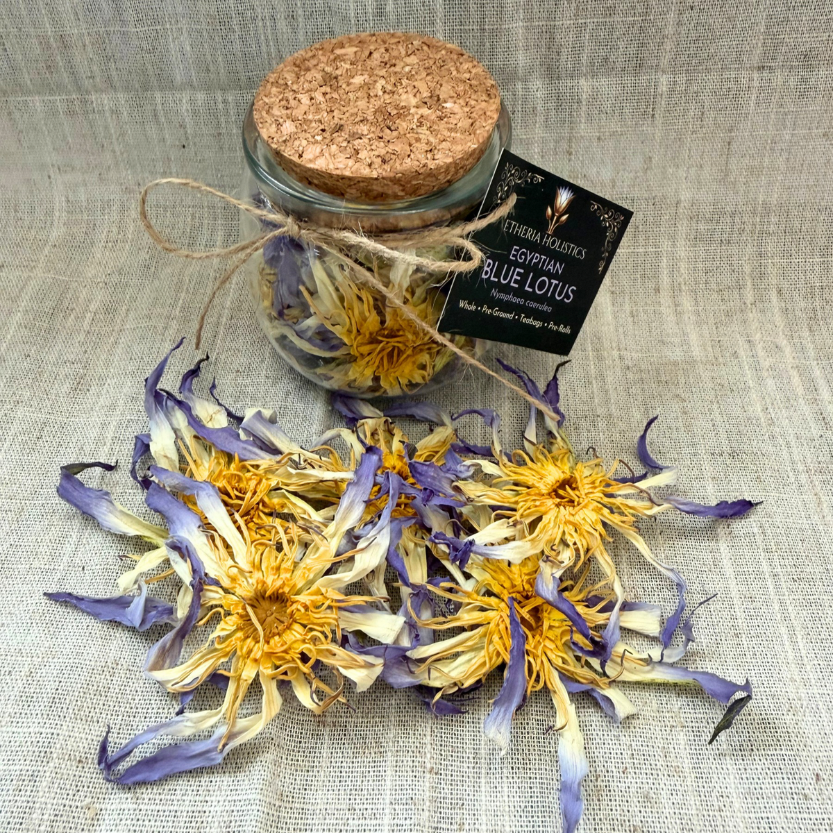True Egyptian Blue Lotus (Nymphaea caerulea) | Organic Whole Flowers