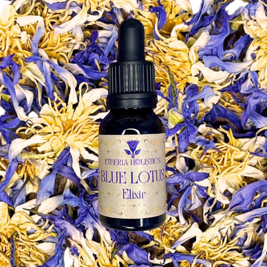 True Egyptian Blue Lotus Elixir. Organic Tincture Extract (Nymphaea caerulea)