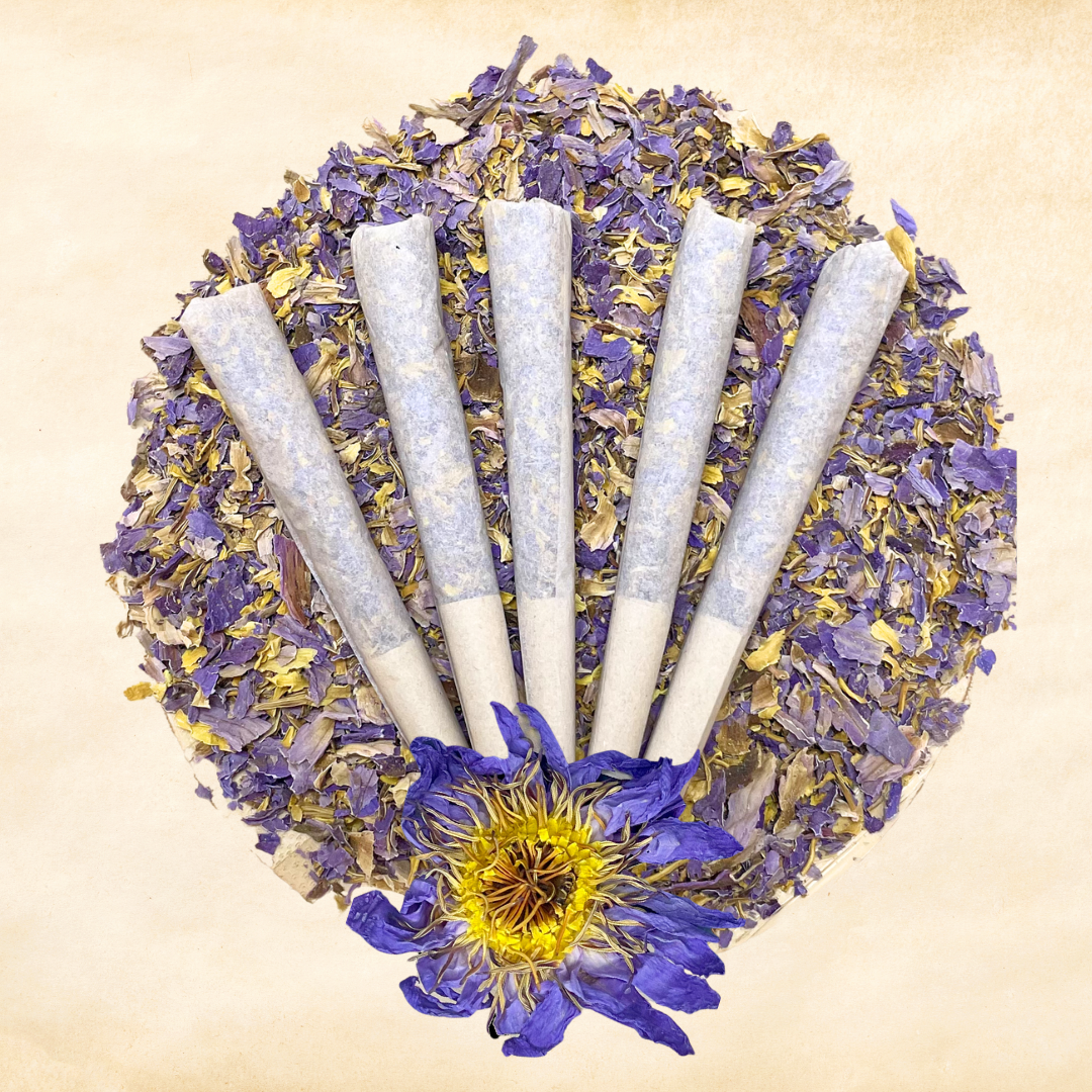 Blue Lotus — Asian (Nymphaea nouchali) | Organic Pre-Rolls