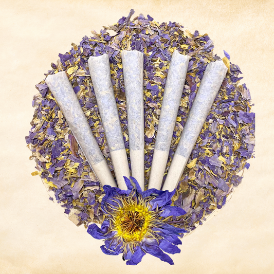 Blue Lotus — Asian (Nymphaea nouchali) | Organic Pre-Rolls