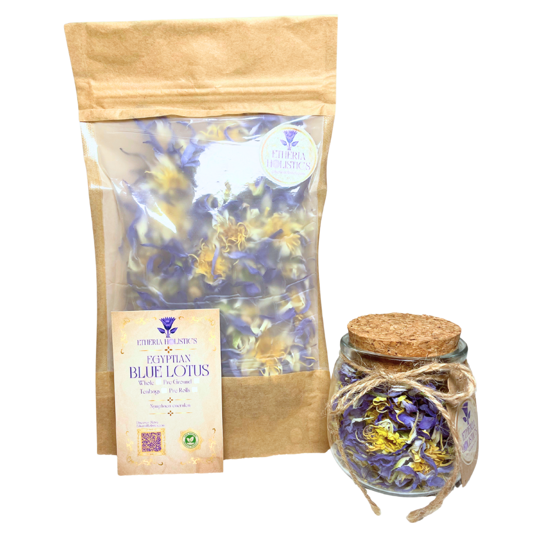 True Egyptian Blue Lotus (Nymphaea caerulea)