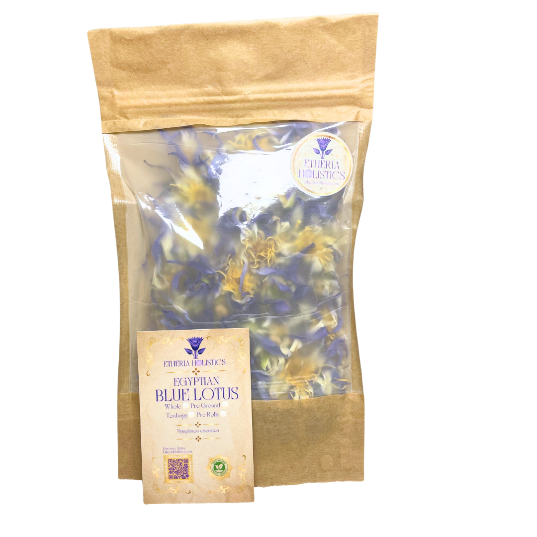 True Egyptian Blue Lotus (Nymphaea caerulea)