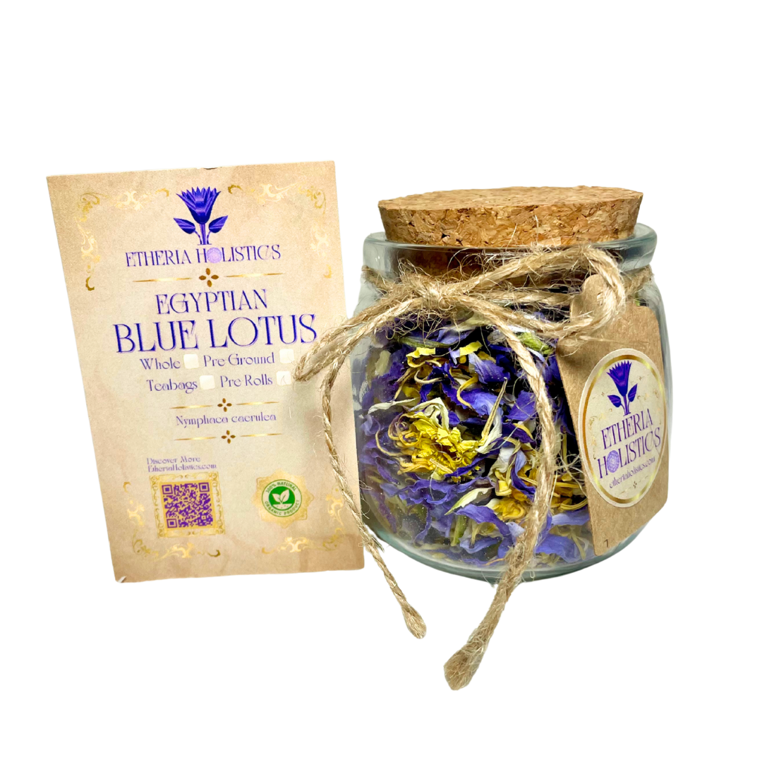 True Egyptian Blue Lotus (Nymphaea caerulea)